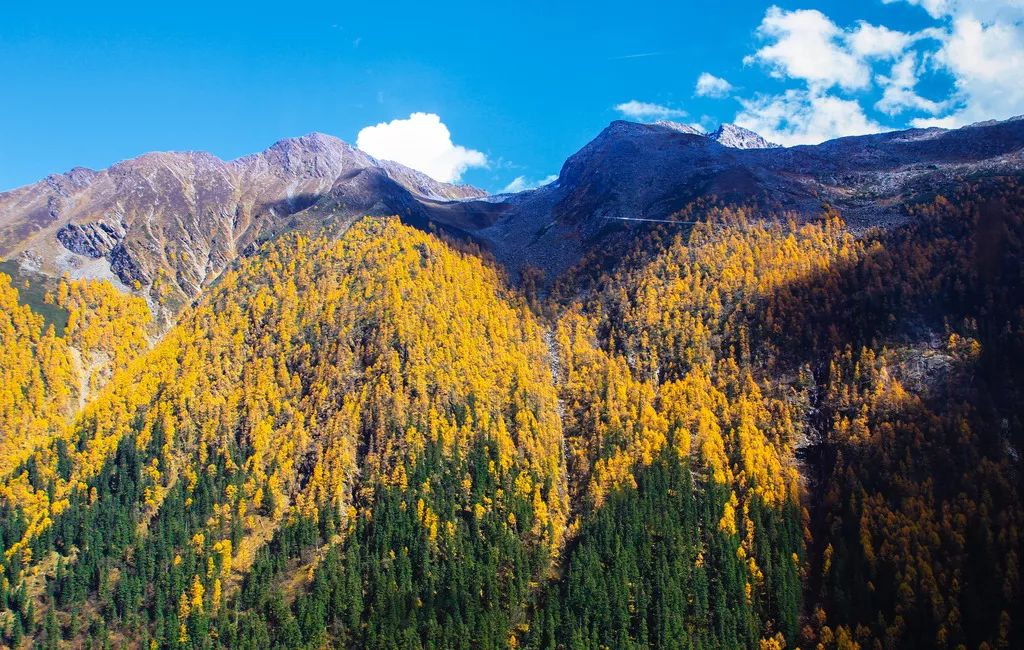 天進(jìn)儀器 天進(jìn)儀器