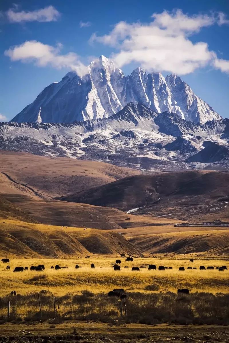 天進(jìn)儀器 天進(jìn)儀器