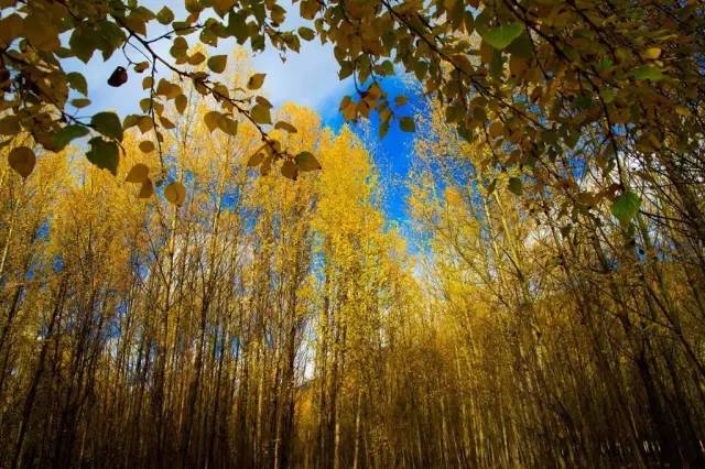 天進(jìn)儀器 天進(jìn)儀器