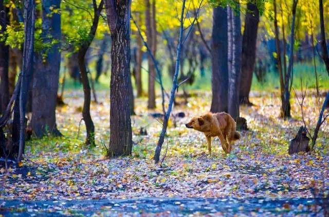 天進(jìn)儀器 天進(jìn)儀器